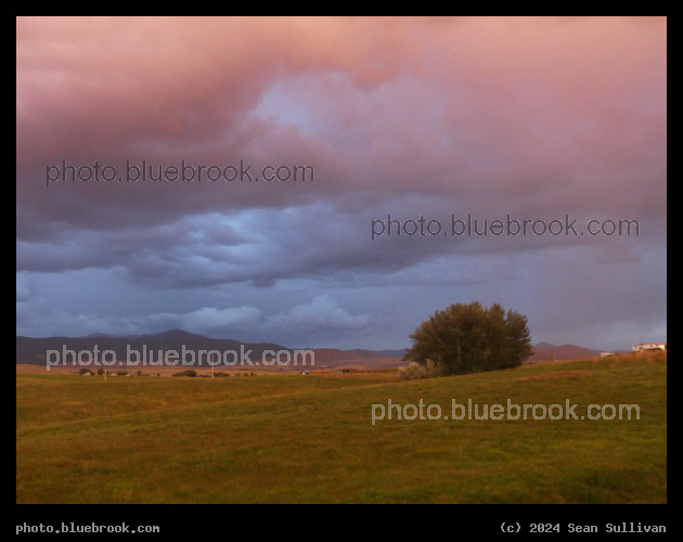 Sunset Blues to Reds - Corvallis MT