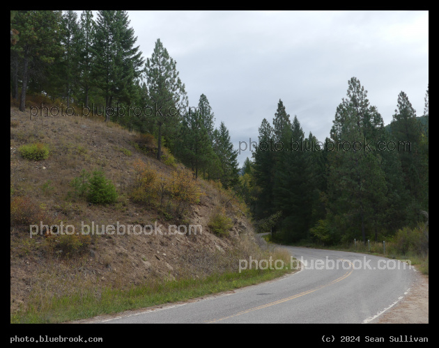 Curving Hillside and Road - Snow Bowl Road, Missoula MT