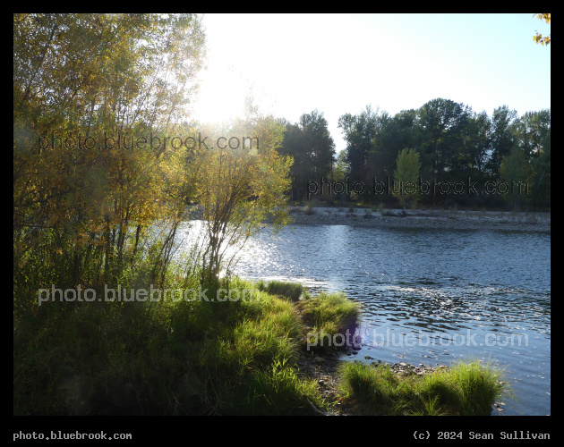 Sunlight in Early Autumn - Bitterroot River, Hamilton MT