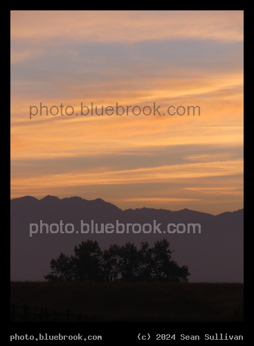 Peach Sky - Corvallis MT