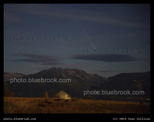 Comet over Cows and Mountains - Comet Tsuchinshan-ATLAS setting from Corvallis MT