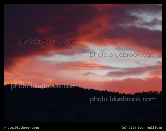 Red Light at Sunrise - Corvallis MT