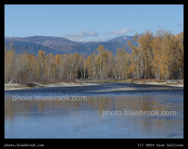 River on a Bright Autumn Day - Bitterroot River at Woodside Crossing, Corvallis MT