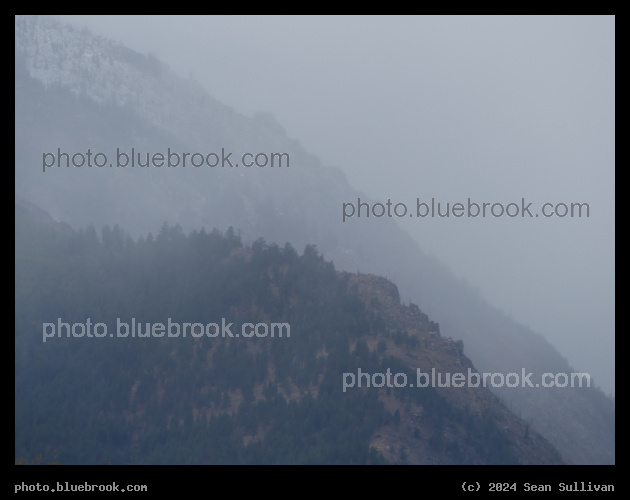 Mountain Profiles in the Rain - Hamilton MT