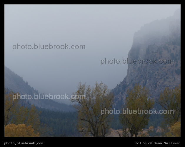 Misty Autumn Canyon Background - Hamilton MT