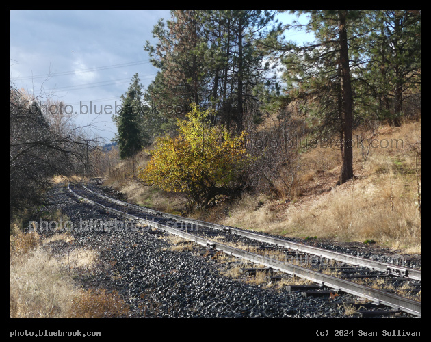 Sunlit Rail in Autumn - Lolo MT