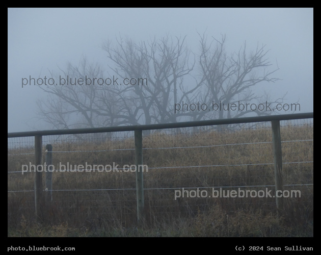 Fences and Trees on a Hazy Morning - Corvallis MT