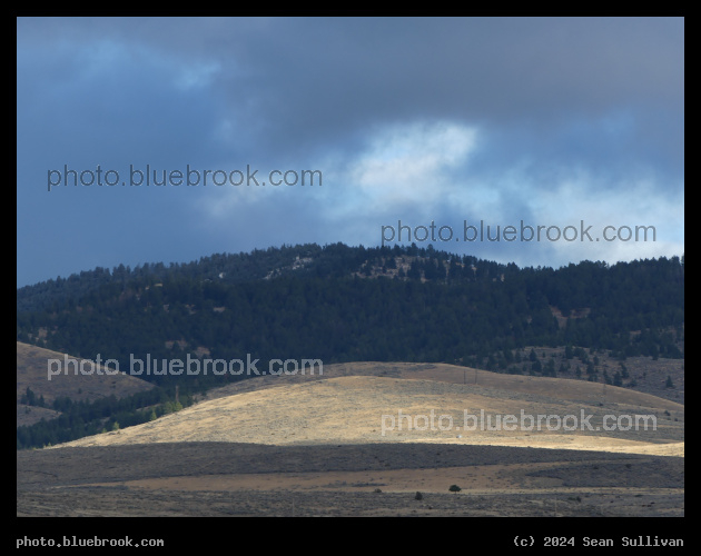 Light on a Distant Pasture - Corvallis MT