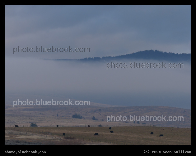 White Band of Fog - Corvallis MT