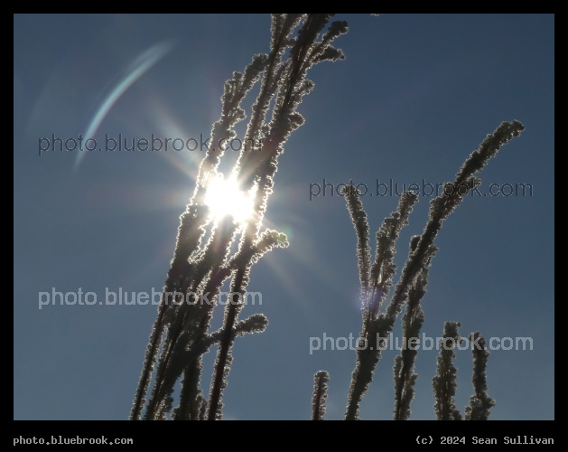 Sun through Hoarfrost Halo - Corvallis MT