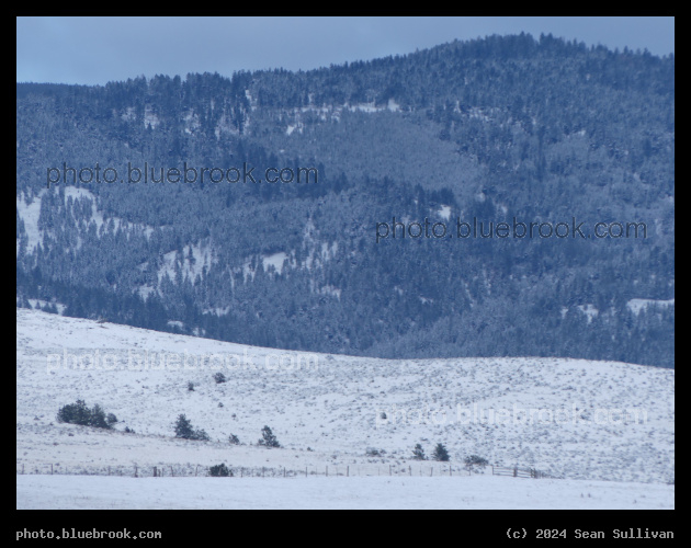 Blue Winter Light - Corvallis MT