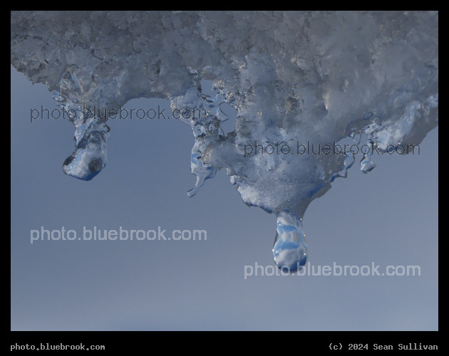 Sky in a Droplet - Corvallis MT