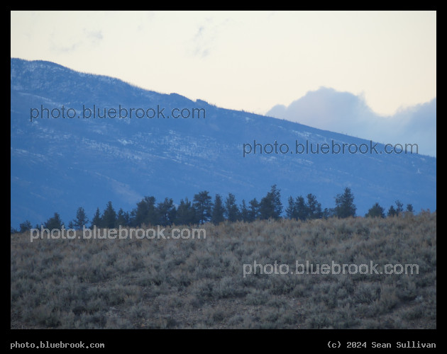 Distant Treeline at Dusk - Corvallis MT