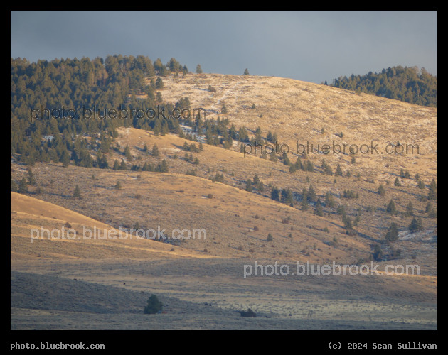 Golden Light on the Sapphires - Corvallis MT