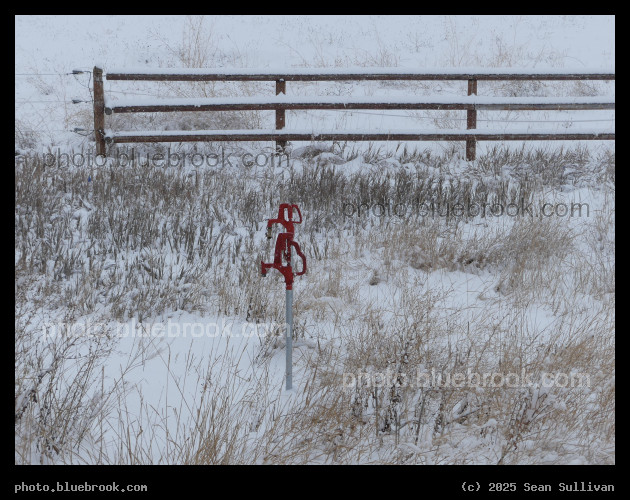 Orange Hydrants - Corvallis MT