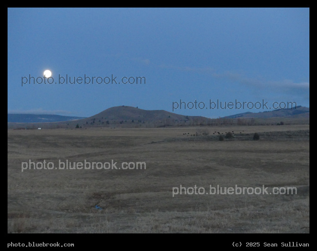 Twilight Fields by Moonlight - Corvallis MT