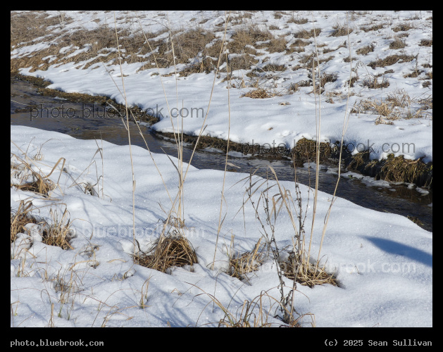 Thin Blanket of Snow, Streamside - Corvallis MT