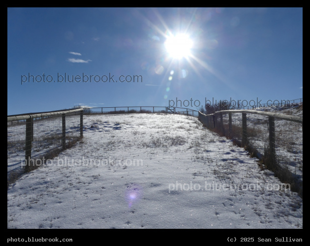 Midday Winter Sun on Pastures - Corvallis MT