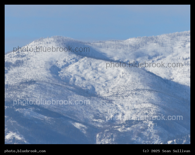 Snowy Mountains and Blue Sky - Corvallis MT