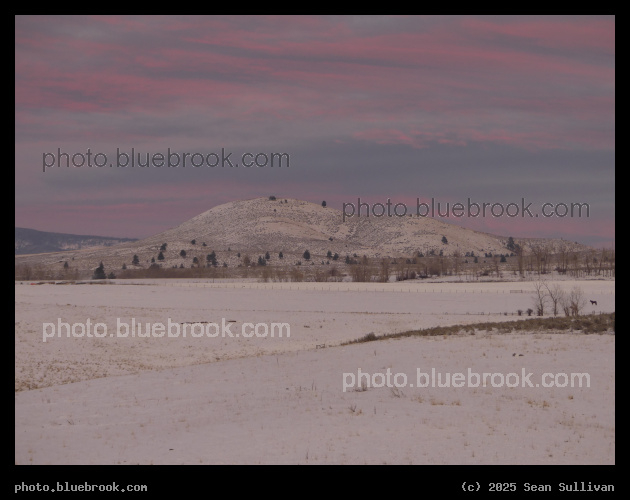 Evening Twilight on a Snowy Hill - Corvallis MT