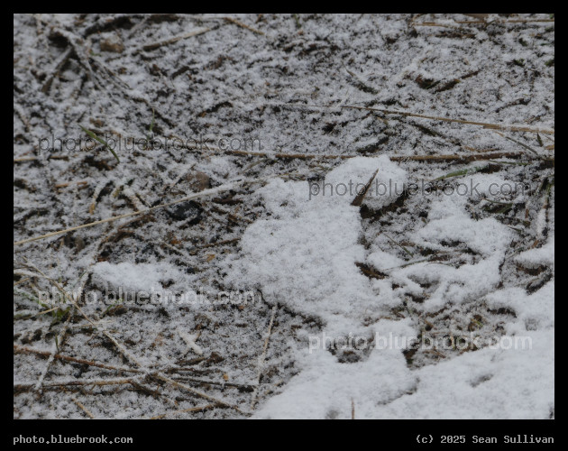 Start of a Snowfall - Corvallis MT