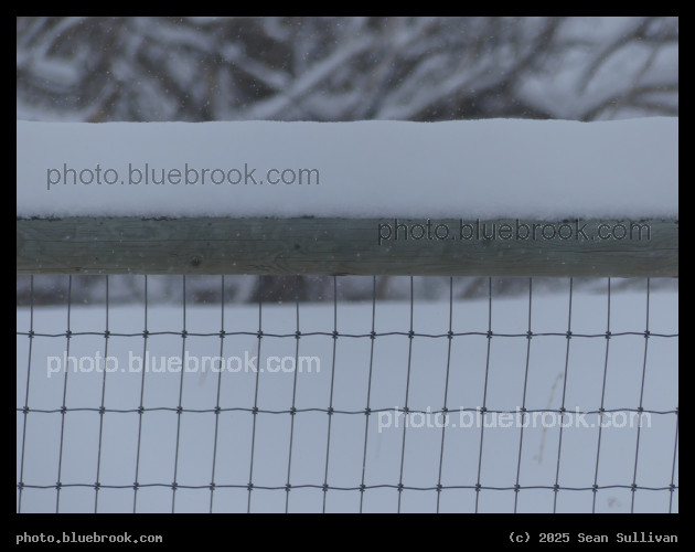 Snowing on the Fence - Corvallis MT