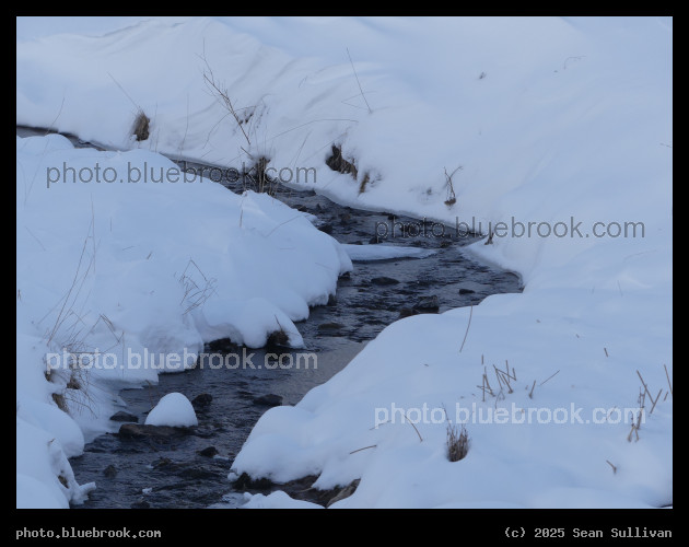 Snowing on the Streambanks - Corvallis MT