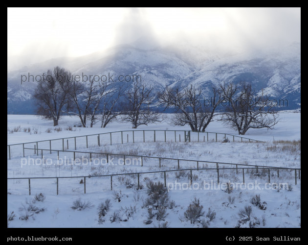 Snow on the Pastures - Corvallis MT