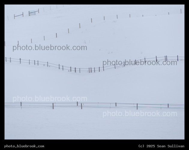 Fences in the Snow I - Corvallis MT