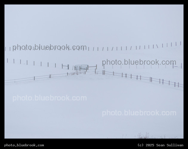 Fences in the Snow II - Corvallis MT