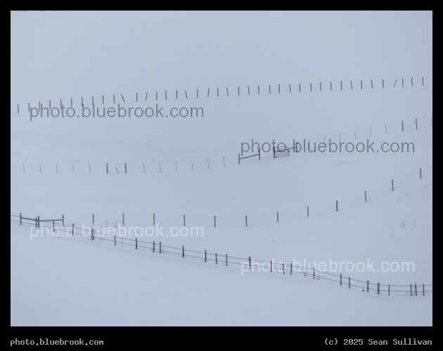 Fences in the Snow III - Corvallis MT