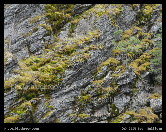 Cliff of Rock and Moss - Kootenai Creek Trail, Bitterroot National Forest, Stevensville MT