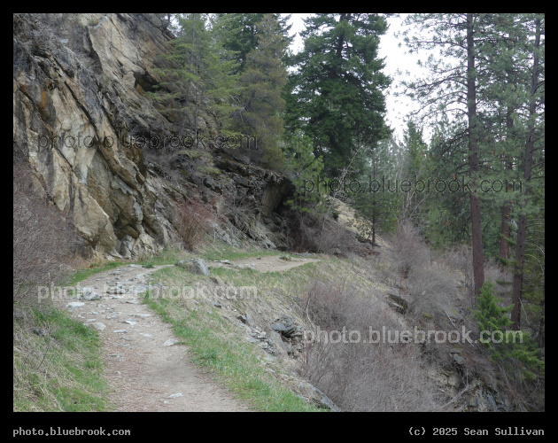 Early Spring Path - Kootenai Creek Trail, Bitterroot National Forest, Stevensville MT
