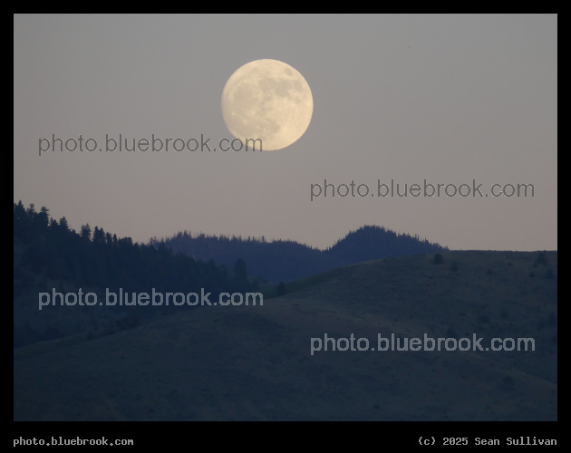 Full Moon over the Sapphires - Corvallis MT