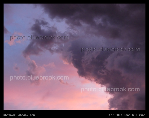 Sherbert Sky - Corvallis MT