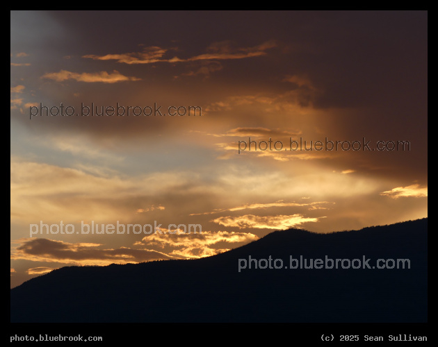 Orange Highlights at Sunset - Corvallis MT