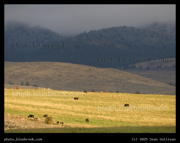 First Dusting of Snow on the Hills - Corvallis MT