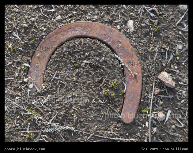 Horseshoe - Corvallis MT
