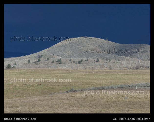 Sunlit Hill - Corvallis MT