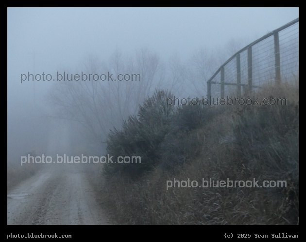 Afternoon Fog IV - Corvallis MT
