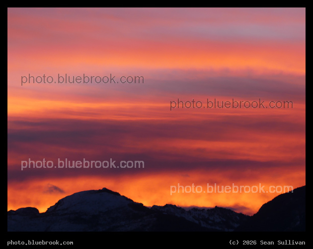 Pink and Orange Filaments - Corvallis MT