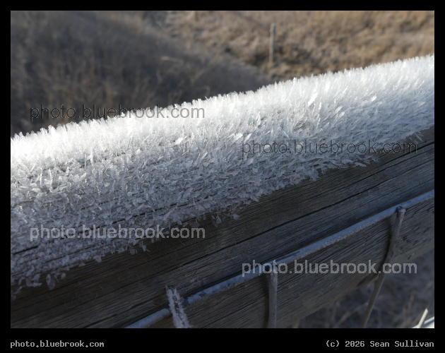 Hoarfrost on a Winter Morning - Corvallis MT