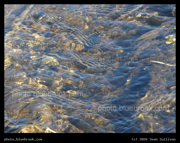 Sunlit Water Ripples - Corvallis MT