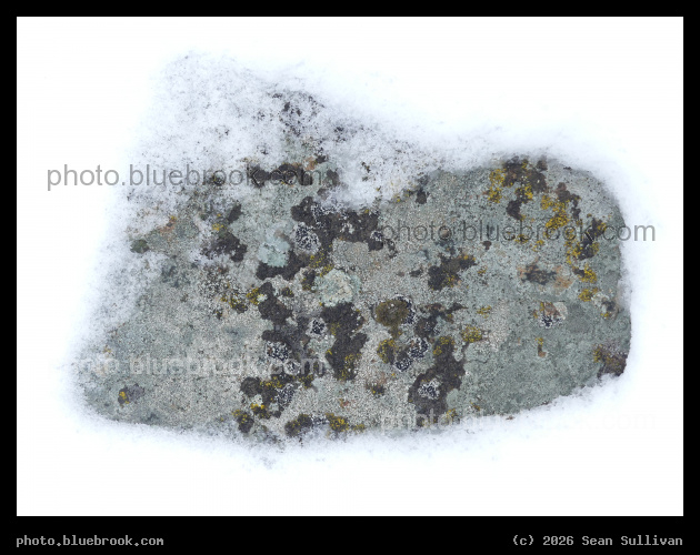 Snow and Stone I - Corvallis MT