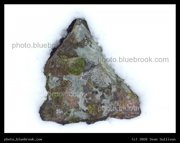 Snow and Stone II - Corvallis MT