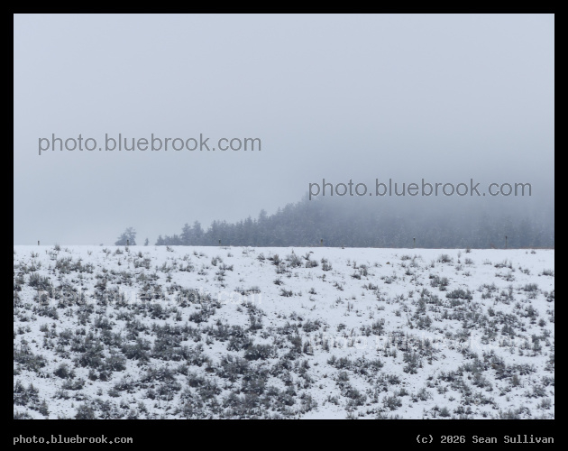 Fading Ridgeline in the Distance - Corvallis MT