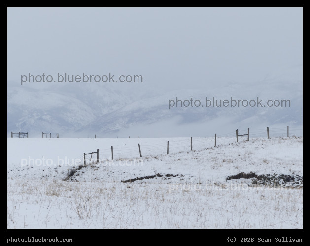 Fenceline with Misty Backdrop - Corvallis MT