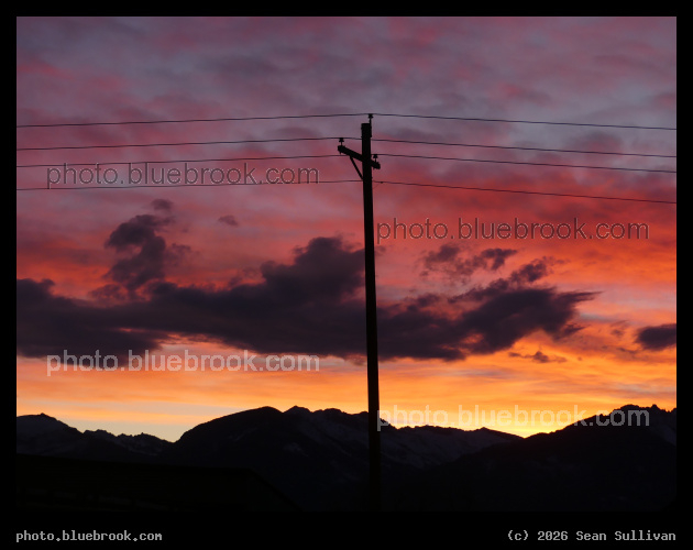The Rainbows are Jealous - Corvallis MT