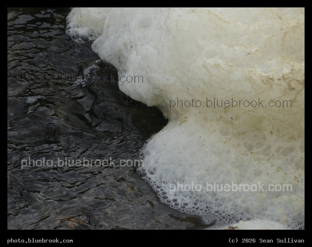 Spring Froth - Corvallis MT