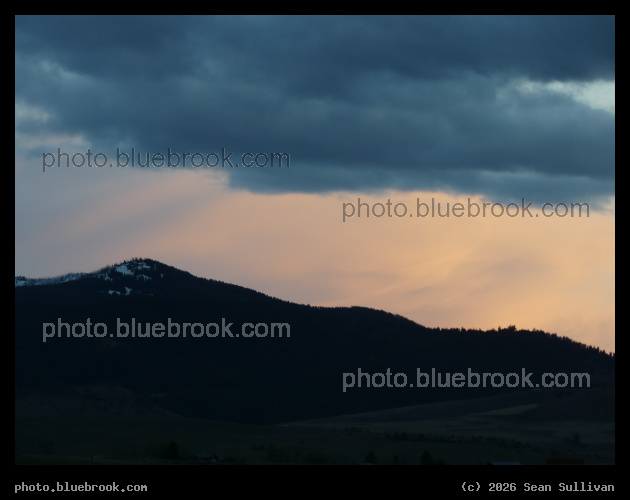 Soft Evening Light - Corvallis MT